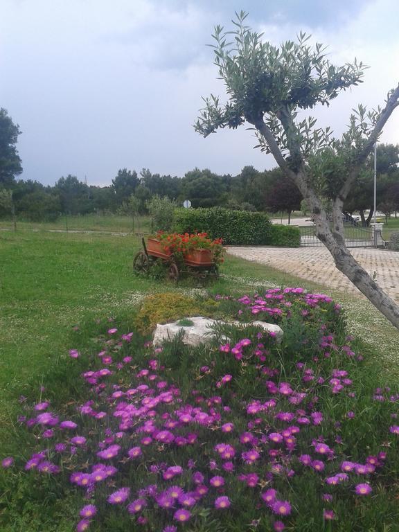 Guesthouse Villa Lena 프레멘투라 객실 사진